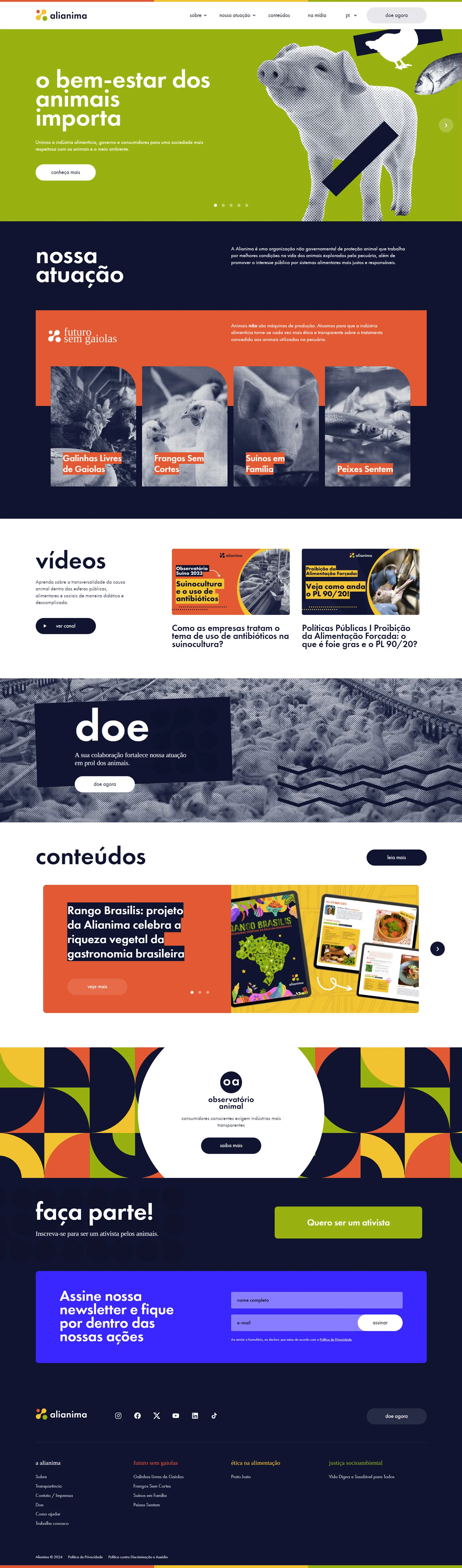 Agência de Desenvolvimento e Criação de Sites