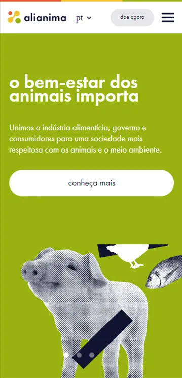 Agência de Desenvolvimento e Criação de Sites